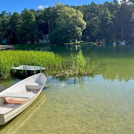 Paprotka Dom I * Kielpiny