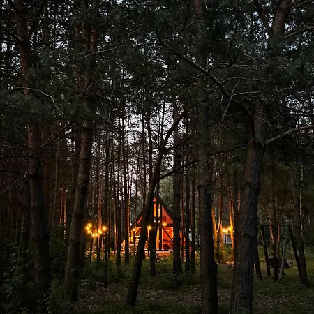 Paprotka Dom I * Kielpiny