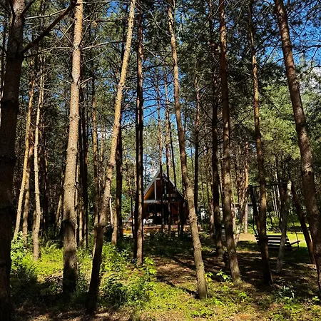 Villa Paprotka Dom I